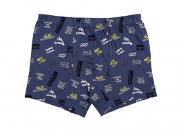 Bokserice Za Dječake - Tinejdžerski Uzrast